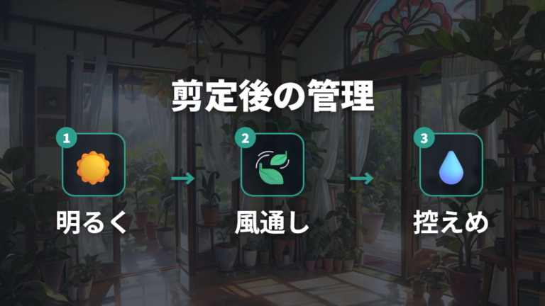 剪定後に枯らさない管理方法は置き場所と水やりから