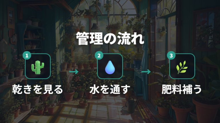 水やりと肥料で失敗しない管理を季節で変える