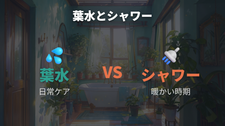 葉水とシャワーの使い分けは季節と鉢の動かしやすさで決める