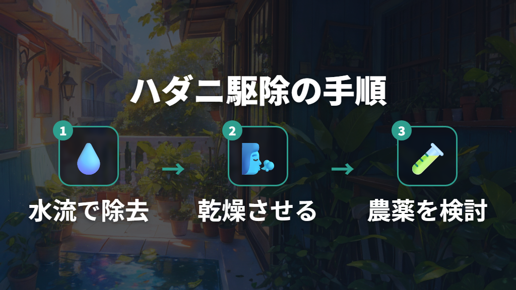 水流と農薬を使い分けるウンベラータのハダニ駆除手順