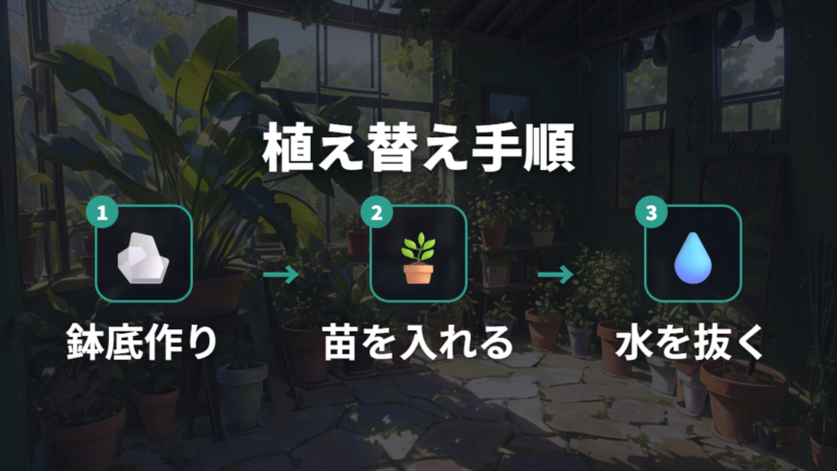 100均グッズで植え替えるコツを手順で確認する