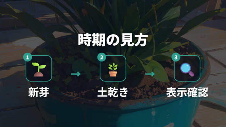 栄養剤を与える時期と頻度は成長期を基準にする