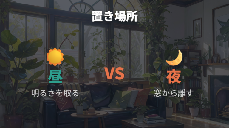 寒い時期の置き場所の選び方は昼と夜で分ける