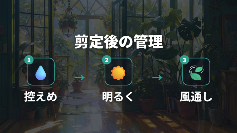 剪定後の水やりと置き場所は控えめ管理に切り替える