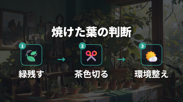 焼けた葉の切り方は緑の残り方で判断する