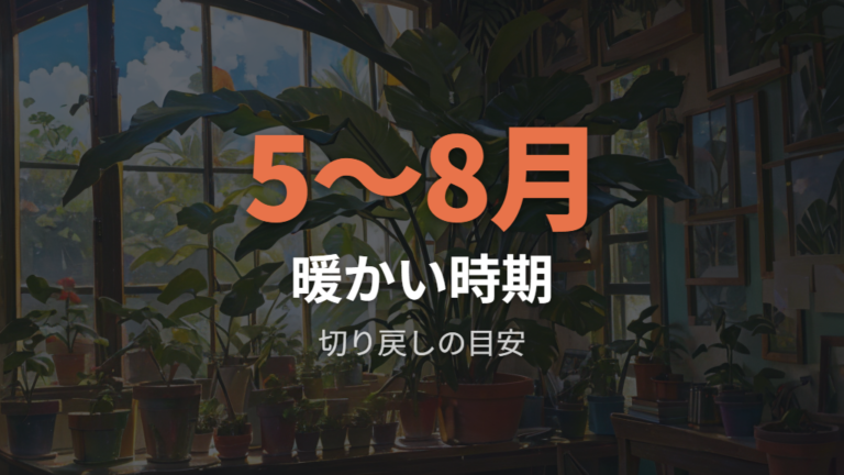 伸びすぎた茎は切り戻しで仕立て直す