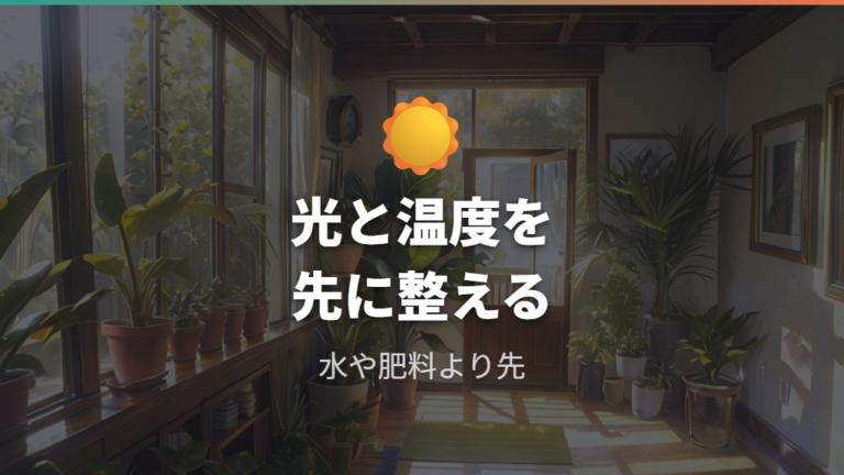 早く育てる管理のコツは光と温度を先に整える