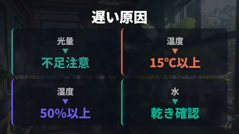 成長が遅いときの主な原因を切り分ける