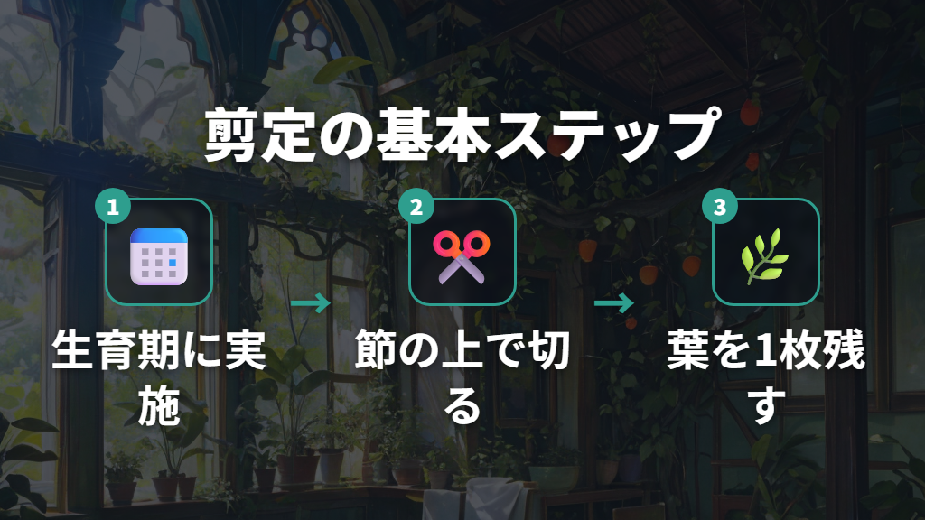 ウンベラータの剪定は生育期に実施する理由と切り方
