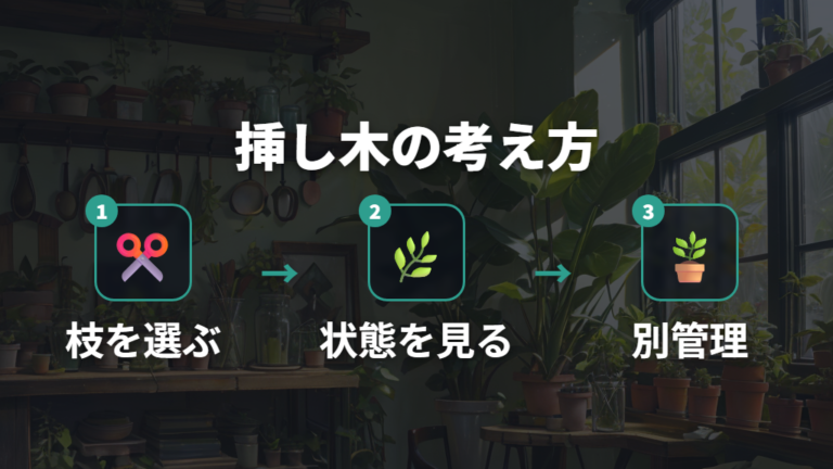 切った枝を挿し木に使う方法を考える