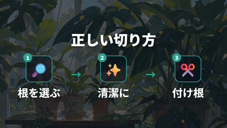 気根の正しい切り方は茎を傷つけず清潔に行う
