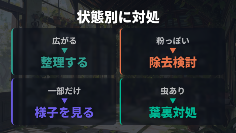斑点が出た葉の正しい対処法を状態別に選ぶ