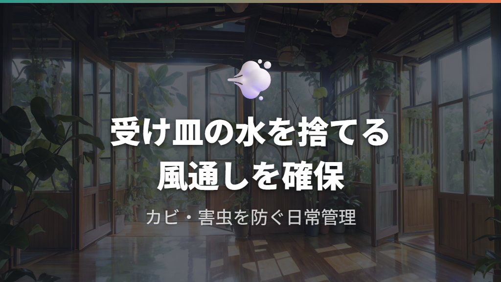 風通し確保とカビ・害虫予防の日常管理