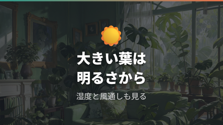 大きい葉を出す育て方は明るさと湿度が土台になる