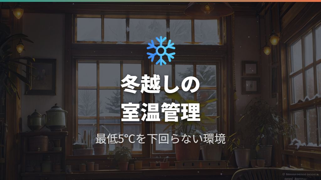 冬越し方法と室温管理でパキラを寒さから守るコツ