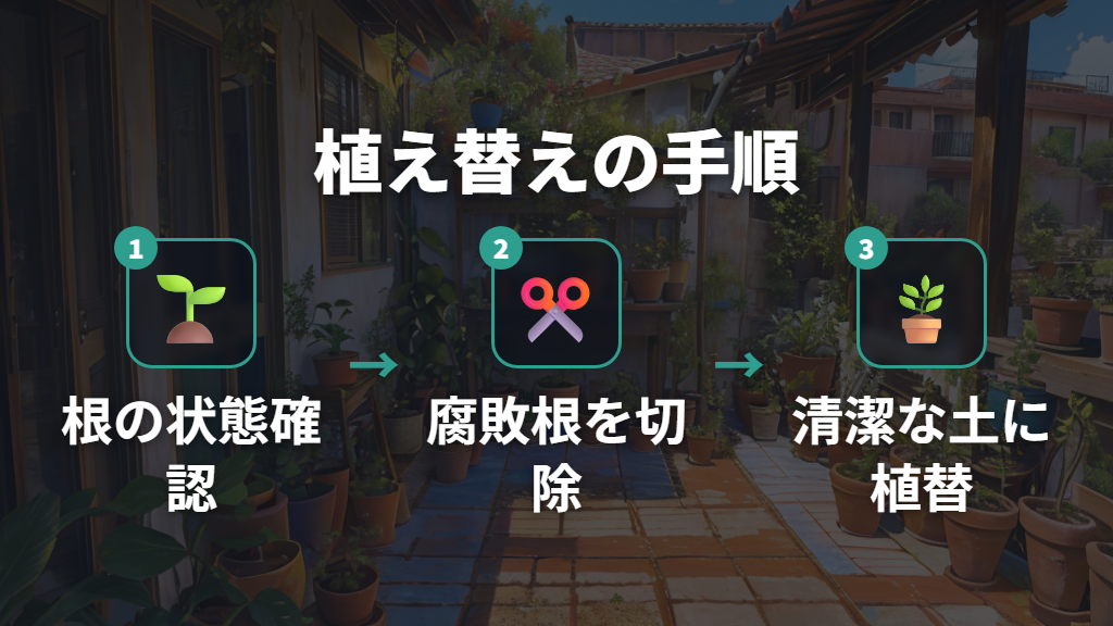 根腐れ後の植え替え手順と用土選び