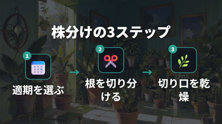 サンスベリアの増やし方と株分けの適期