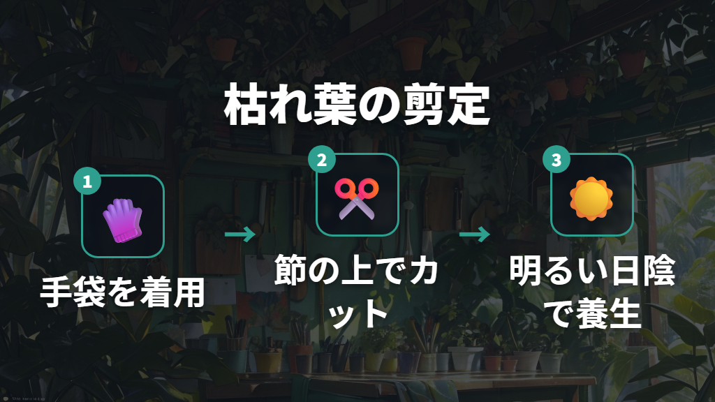 モンステラの枯れた葉はどこから切るべきか剪定位置の確認