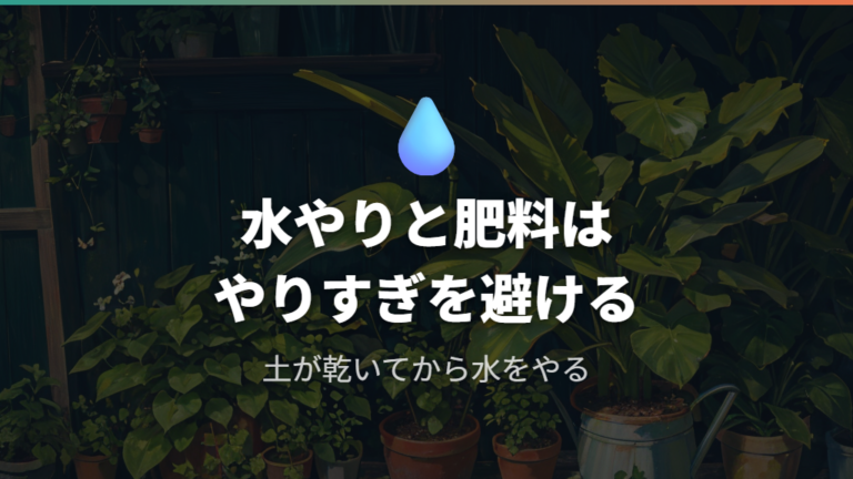 大きく育てる水やりと肥料はやりすぎを避ける