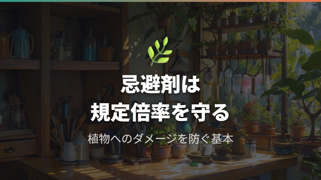 忌避剤の正しい希釈とガジュマルへのやさしい使い方