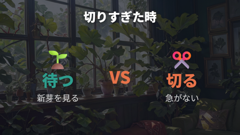 切りすぎたときの対処法は待つべき?切り直すべき?