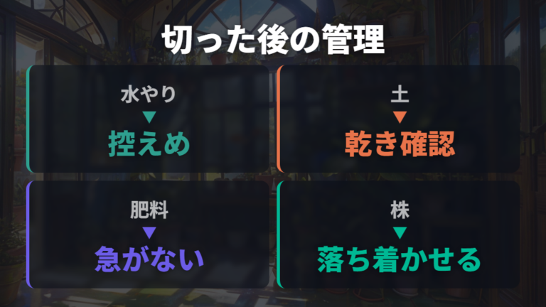 切った後の管理と手入れは水やりを控えめにする