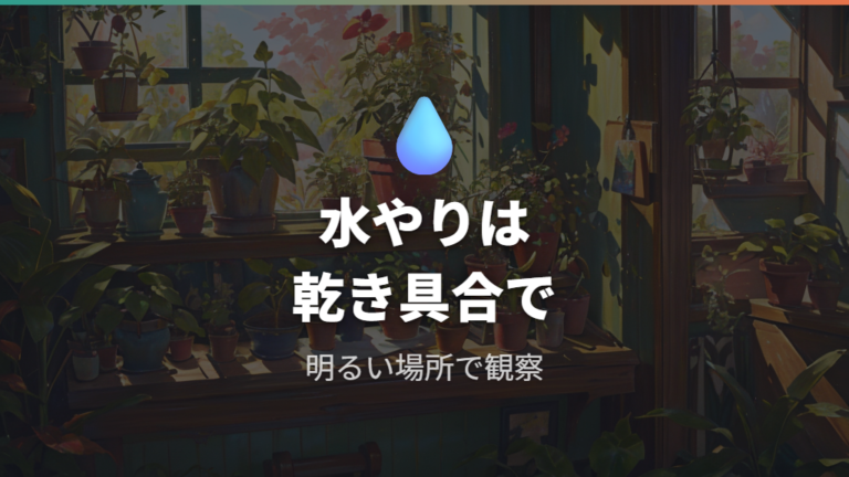 水やりと置き場所の基本は明るさと乾き具合で決める