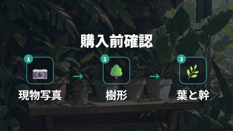 購入時に見るべき選び方は現物写真と樹形確認