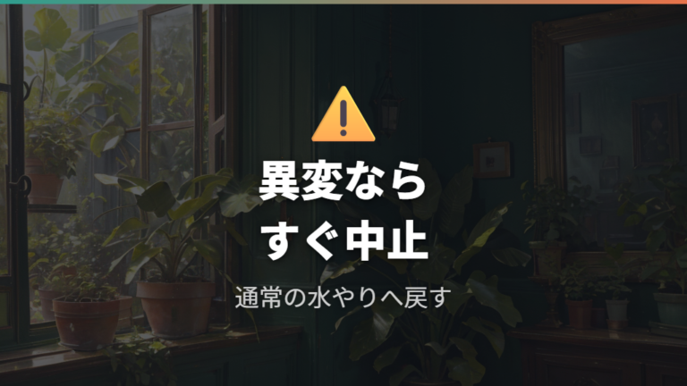 炭酸水で枯れる原因と注意点はどこにある?