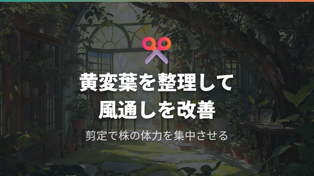 被害葉の整理とウンベラータの剪定による風通し改善
