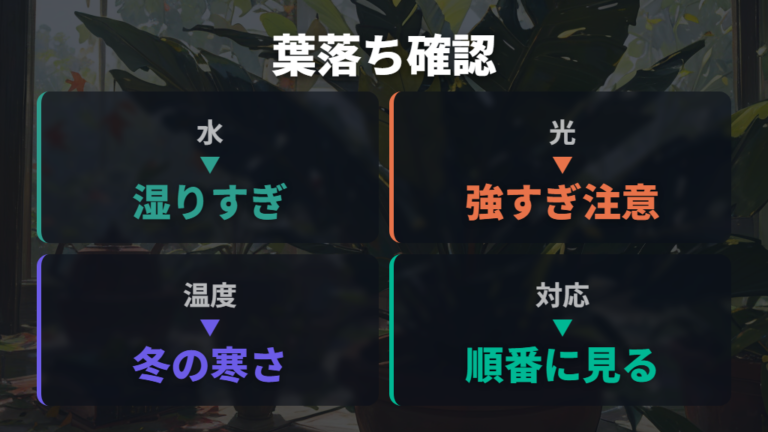 葉が落ちる原因と対処法は水・光・温度から見る