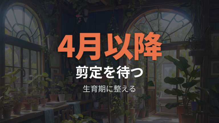 丸坊主後の剪定時期は4月以降の生育期を待つ