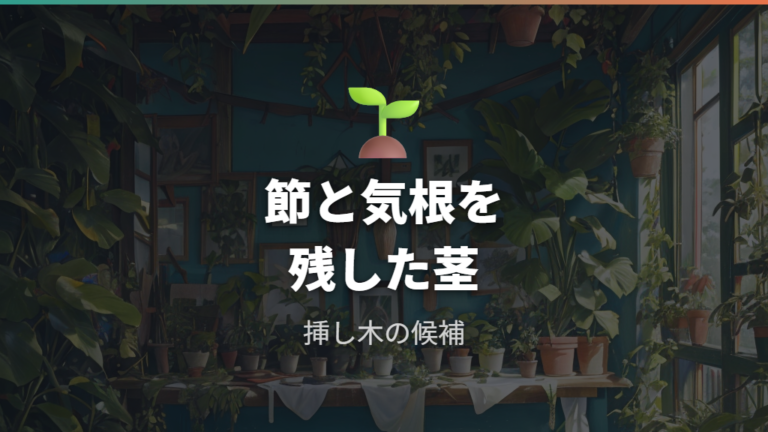 切った茎を挿し木に使う方法は節を残す