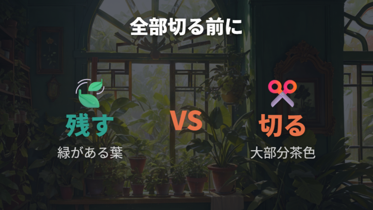 焼けた葉はすぐ一気に切っていい?