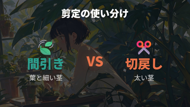 軽い整理は間引き、切り戻しで仕立て直す