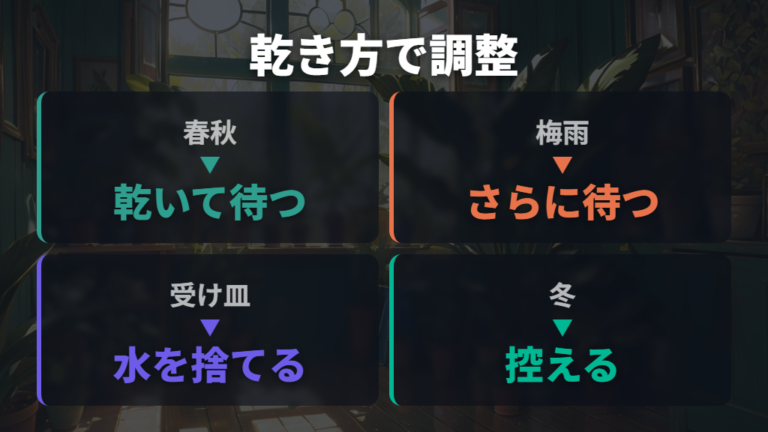 日当たりと水やりの調整で徒長と根腐れを避ける