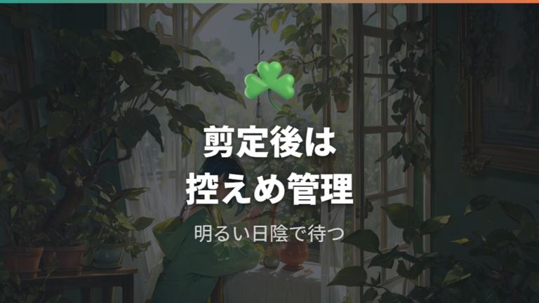 剪定後に枯らさない管理は強い直射日光を避け水控えめが軸