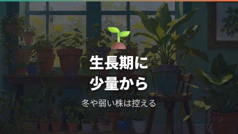 肥料を与える頻度とタイミングは生長期を基準にする