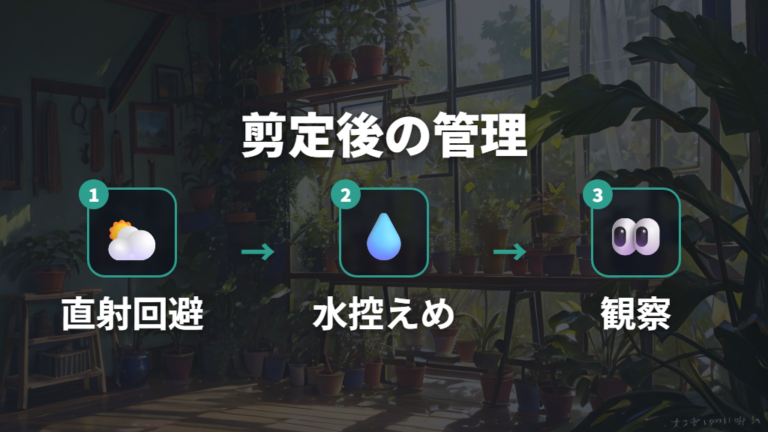 剪定後に新芽を出す管理は置き場所と水やりを変える