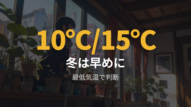 冬に室内へ戻す基準は10℃と15℃を安全側で見る