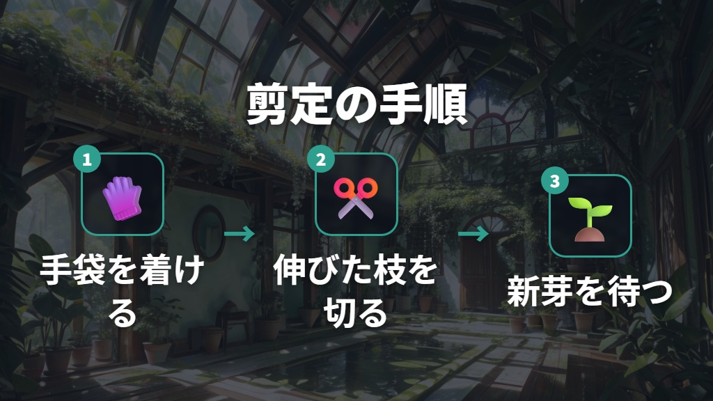 ガジュマル剪定の適期と樹形リセットの手順