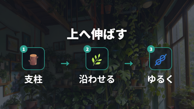 支柱で葉を大きく育てるコツは上へ伸ばすこと