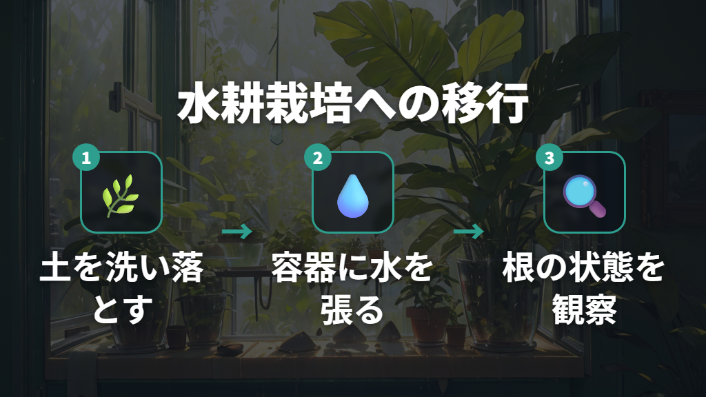 名前がわからないパキラでも安心な水耕栽培への移行手順