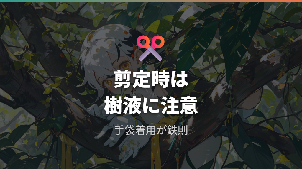 黒ずんだ葉の切り戻しとガジュマルの剪定時の樹液対策