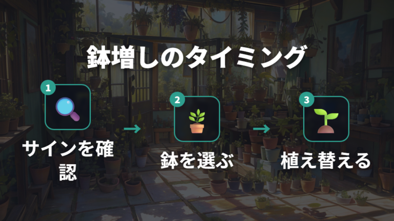 鉢増しで根詰まりを防ぐ方法と植え替えサイン