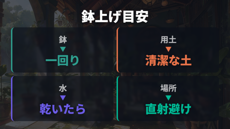束ねた株の鉢上げと用土は根腐れを避けて選ぶ