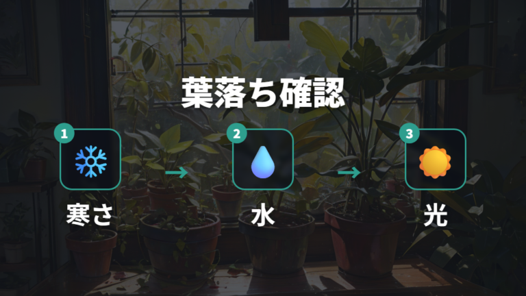 水やりと置き場所の基本を見直す葉落ち対策