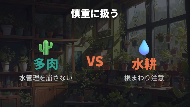 多肉植物や水耕栽培で使うときの注意点