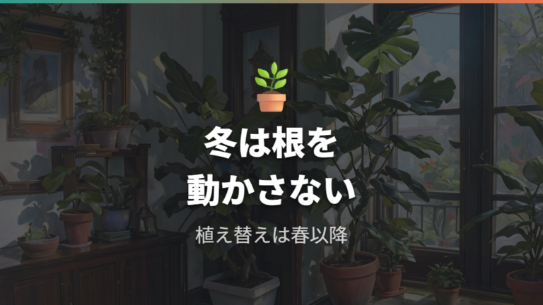 冬に植え替えを避ける理由は根への負担が大きいから