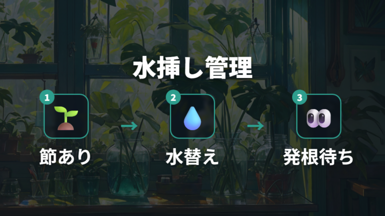 水挿しでも増やせる?水替えと発根待ちの注意点